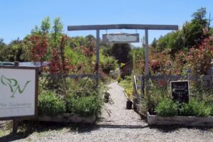 Por Naturaleza vivero