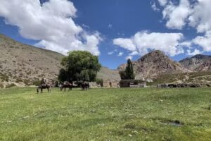 Quebrada de Bauchaceta