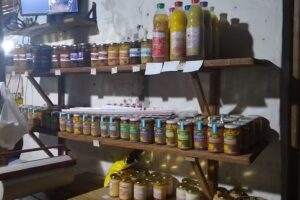 Regionales, Establecimiento Don Coco