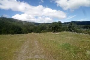 Reserva Corazon de la Isla &ndash; Bifurcaci&oacute;n a Los Lagos