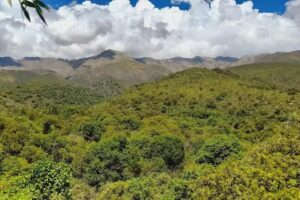 Reserva de Biodiversidad Nativa