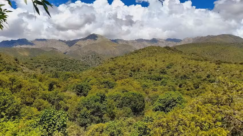 Reserva de Biodiversidad Nativa