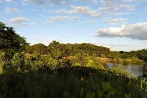 Reserva de Biosfera Laguna Oca y Herraduras del R&iacute;o Paraguay