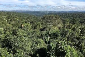 Reserva de la Biosfera Yabot&iacute;