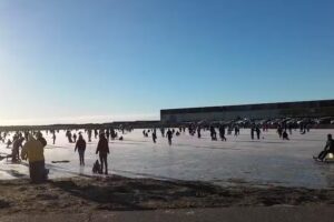 Reserva Laguna de los Patos.