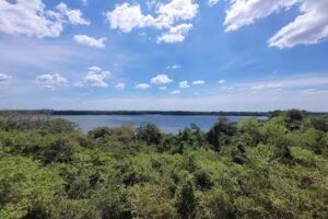 Reserva Municipal Taji Poty Santo Tomé