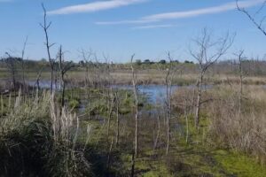 Reserva Natural de Ciudad Evita