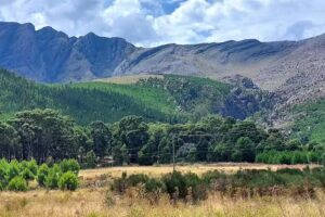 Reserva Natural del Parque Tornquist