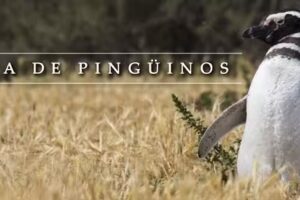 Reserva Natural Estancia San Lorenzo