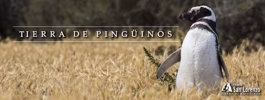 Reserva Natural Estancia San Lorenzo