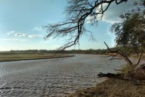 Reserva Natural Formosa.