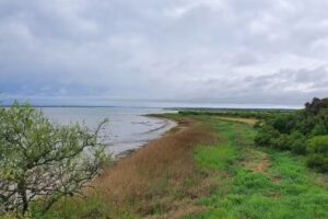 Reserva Natural, Historica, Refugio Vida Silvestre, Vuelta de Obligado