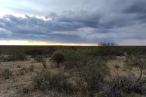 Reserva natural La Reforma