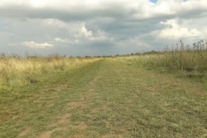 Reserva natural Laferrere