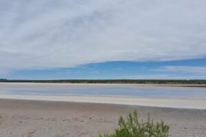 Reserva Natural Laguna Guatrach&eacute;