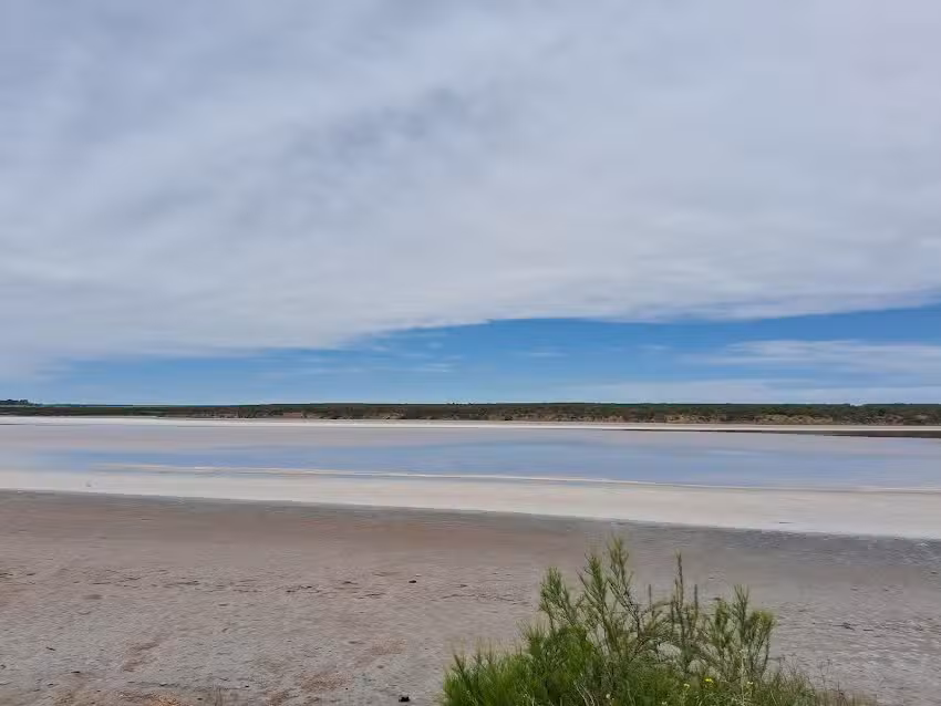 Reserva Natural Laguna Guatrach&eacute;