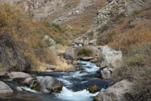 Reserva Natural Manzano- Portillo de Piuquenes