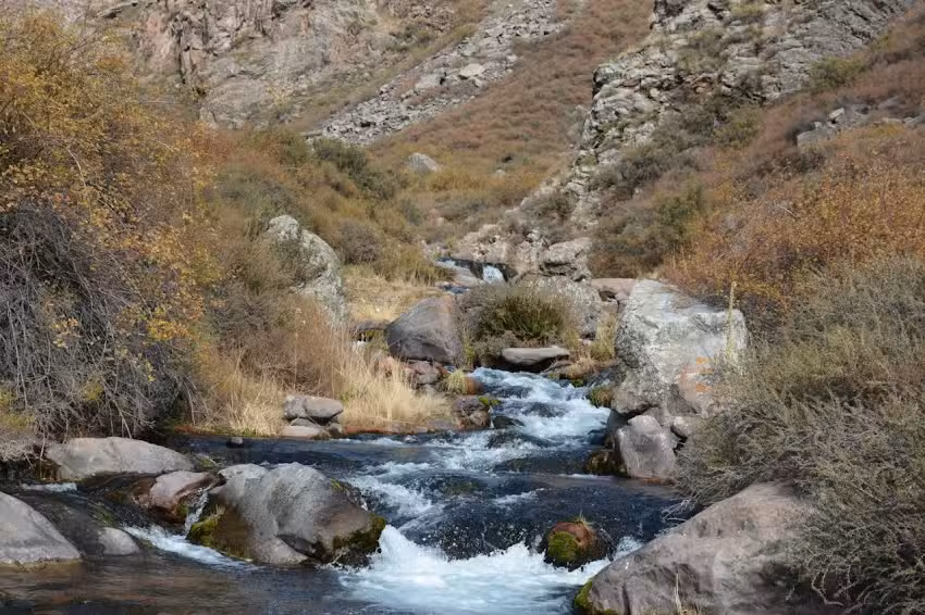 Reserva Natural Manzano- Portillo de Piuquenes