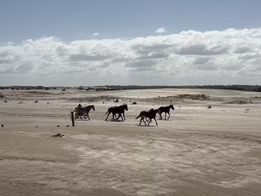 Reserva Natural Municipal Faro Querand&iacute; (acceso)