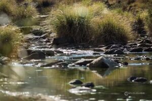 Reserva Natural Privada Alto Lindo