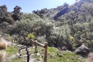 Reserva Natural Provincial Mogote Bayo