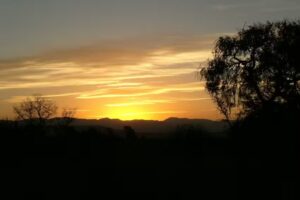 Reserva Natural Urbana General San Martín