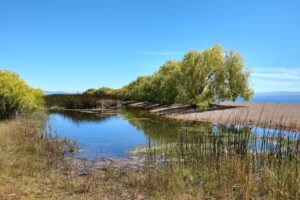 Reserva Natural Urbana Laguna de Los Juncos