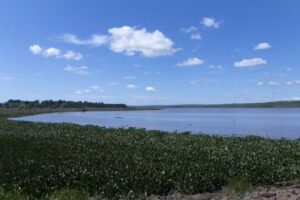 Reserva Natural Uruta&uacute;