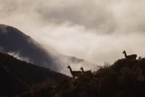 Reserva Natural Villavicencio