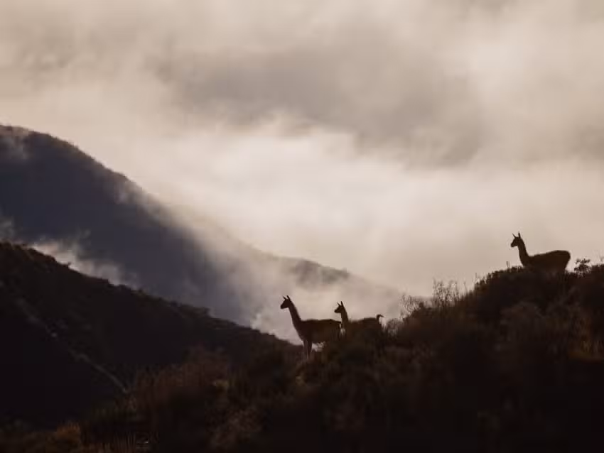 Reserva Natural Villavicencio