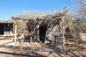 Reserva Natural Y Cultural Bosques Telteca