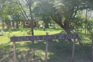 Reserva Privada Punta Del Agua