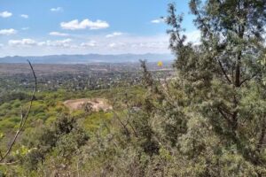 Reserva Privada Reserva del Huaico