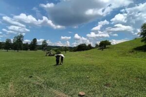 Reserva provincial Acambuco