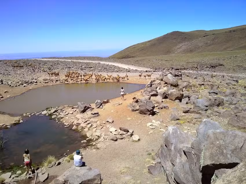 reserva provincial Auca Mahuida