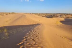 Reserva provincial Telteca