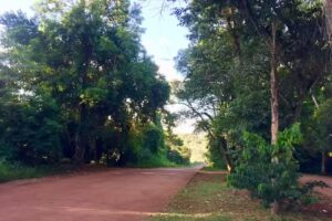 Reserva Selva Iryap&uacute;.