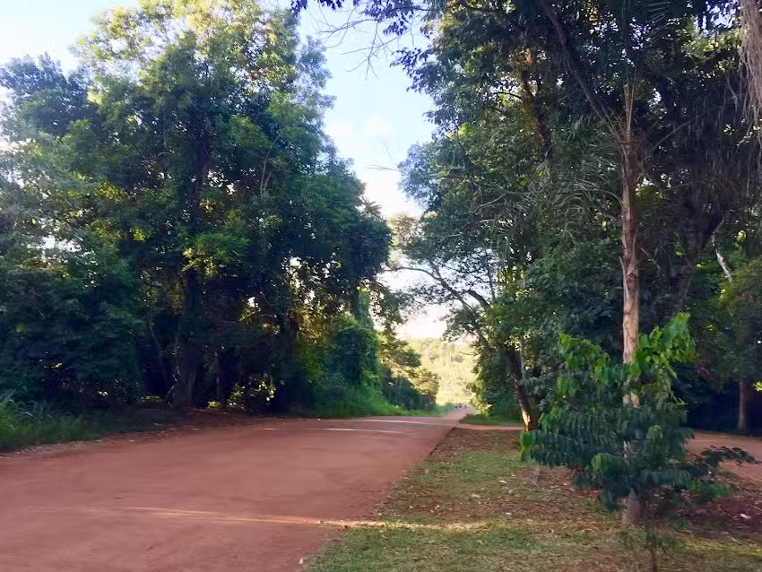 Reserva Selva Iryap&uacute;.