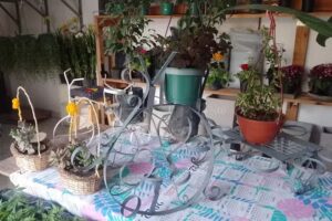 Rincon natural moreno