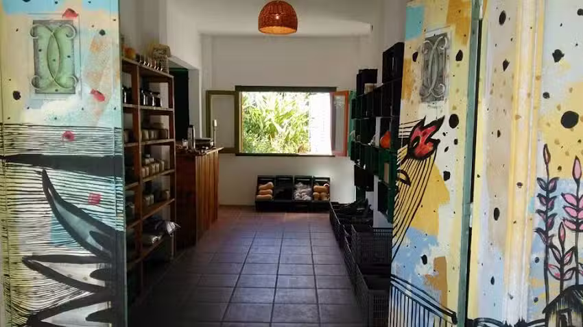 Rizoma