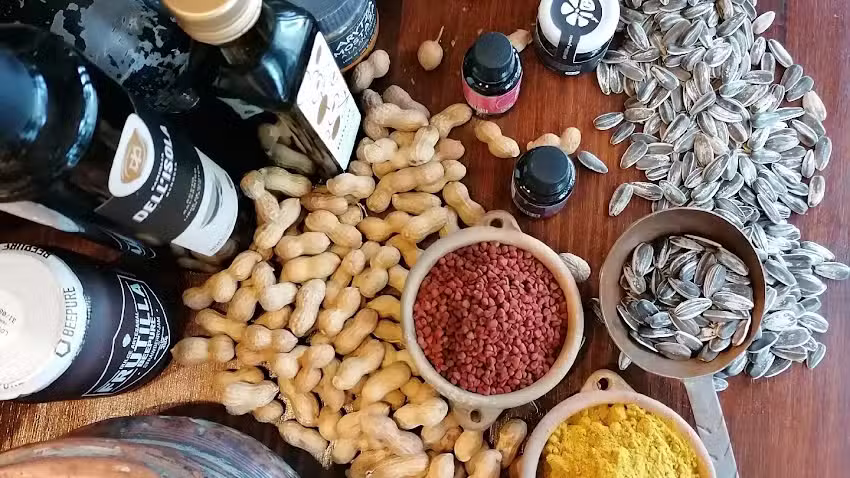 Saludables Almac&eacute;n