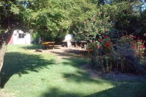 Saturn Supplements Inc.