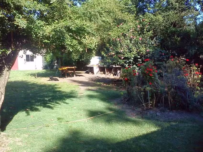 Saturn Supplements Inc.