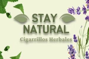 Stay Natural 🌿Cigarrillos Herbales🌿