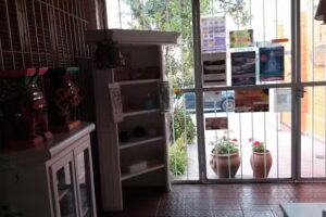 Tagore Somos Natural