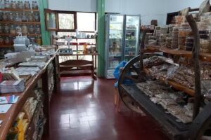 Taraxacum Tienda Natural