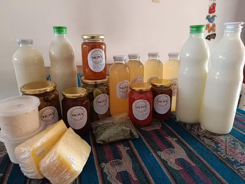 Tienda Agroecol&oacute;gica La Granja Nova