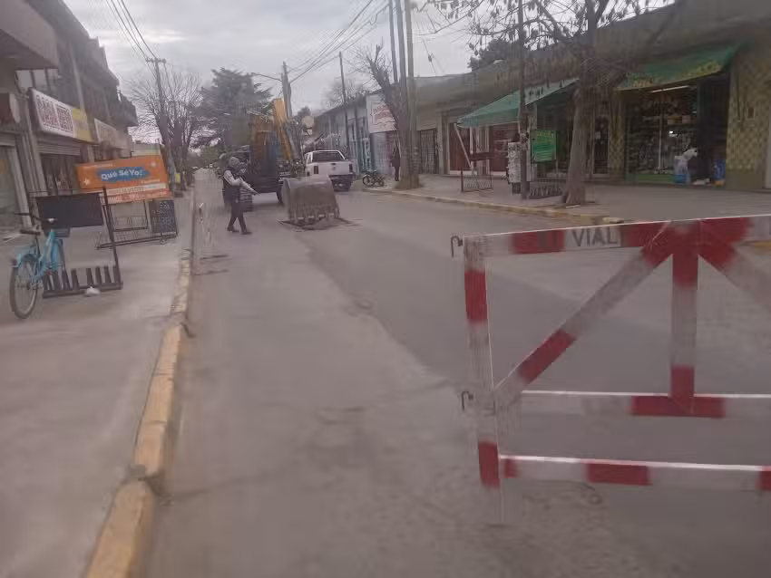 TIENDA NATURISTA 4 PATAS