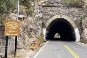 T&uacute;neles de Taninga