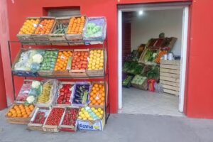 VERDULERÍA “El huerto de Franco”